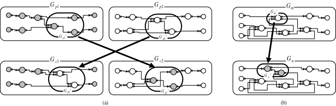 Evolutionary operations.