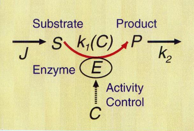 Enzyme Transistor