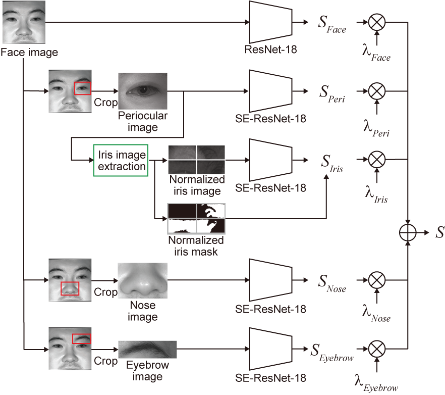 Graphical Abstract