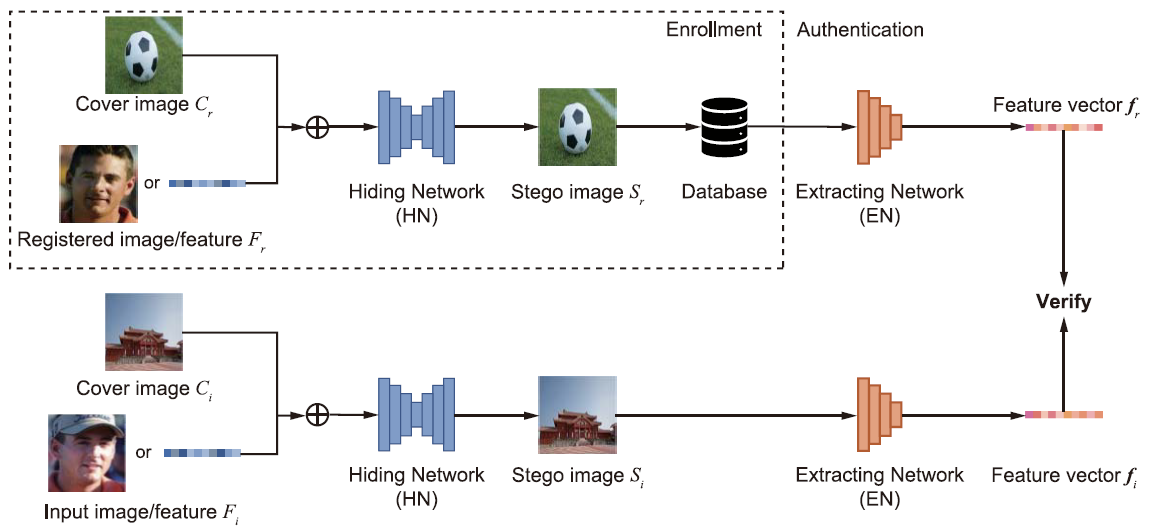 Graphical Abstract