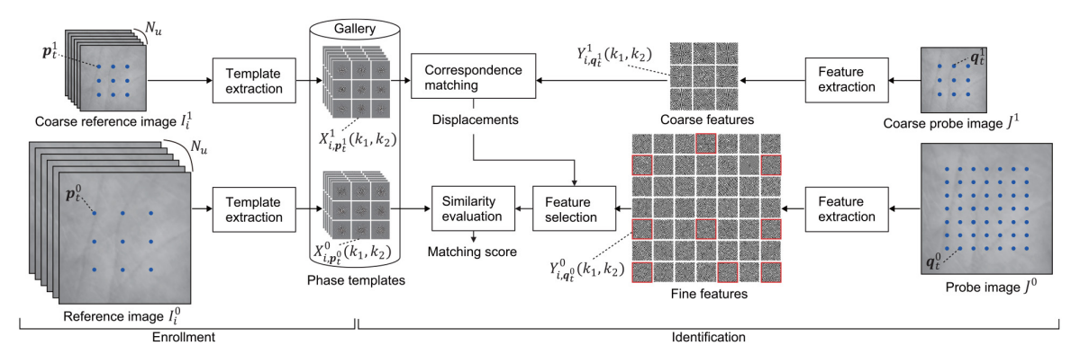Graphical Abstract