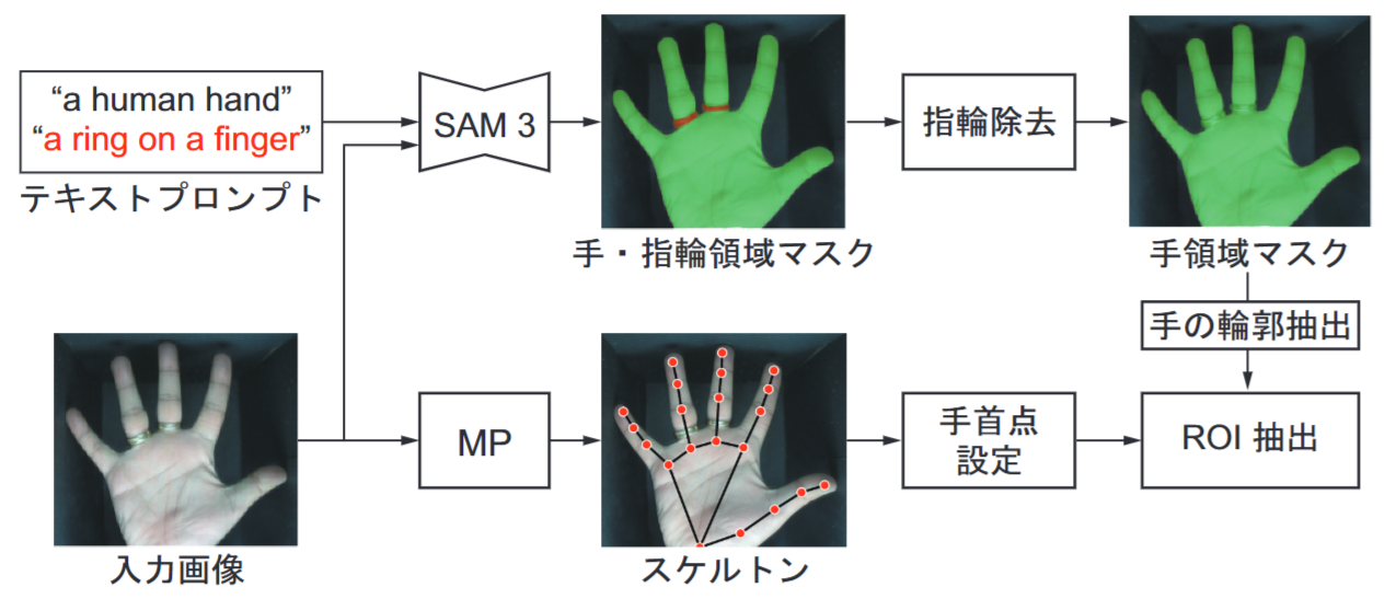 Graphical Abstract