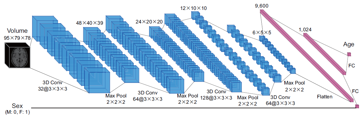Graphical Abstract