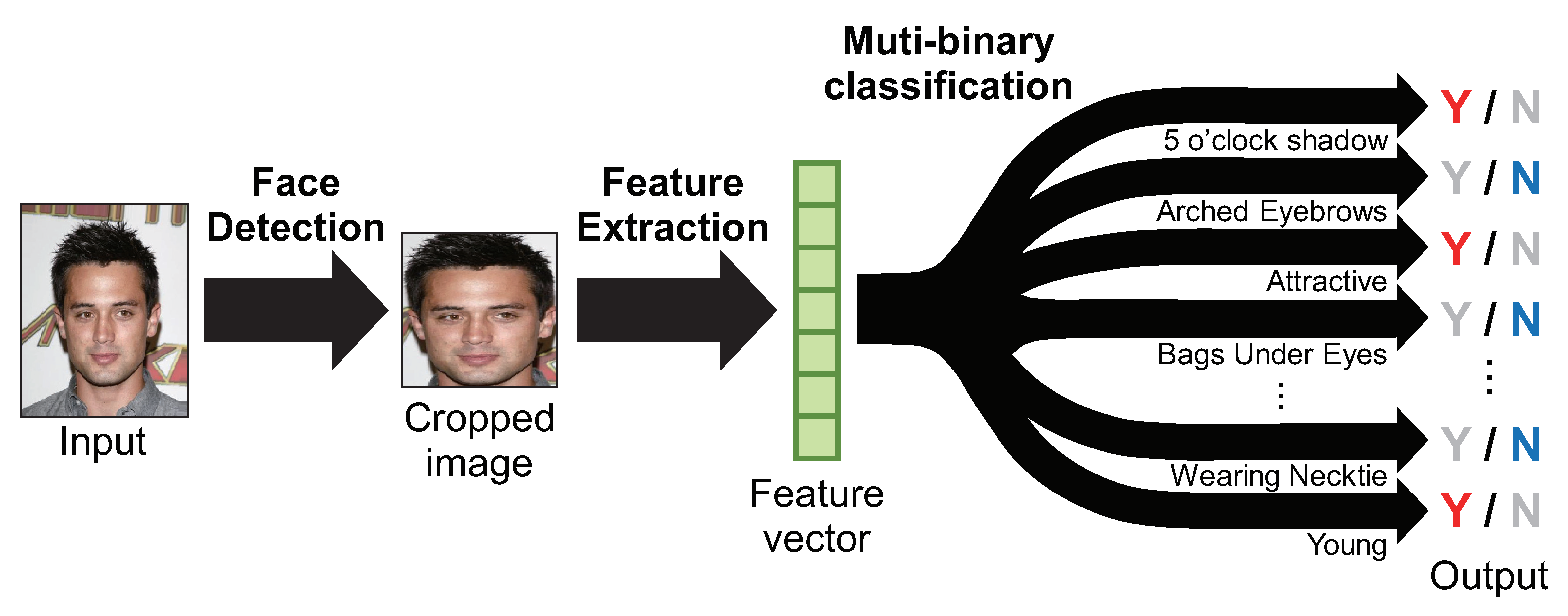 Graphical Abstract