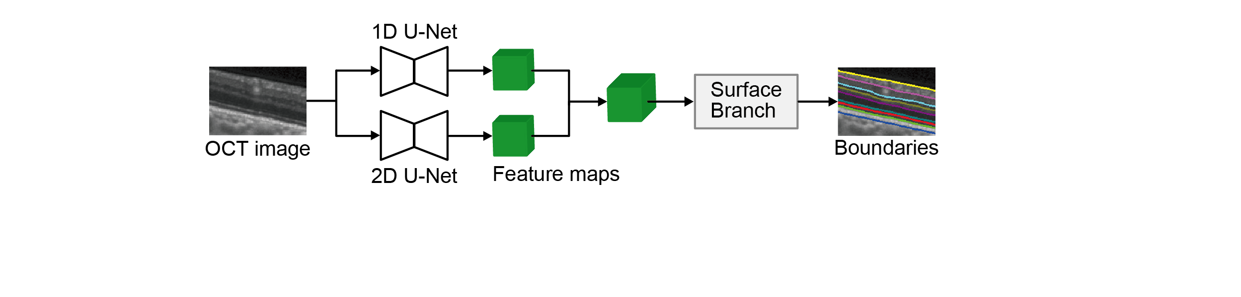 Graphical Abstract
