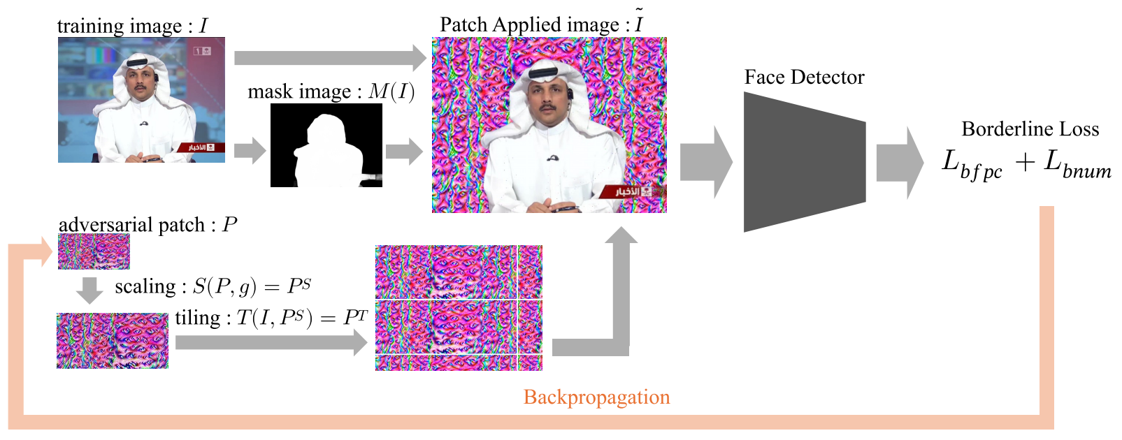 Graphical Abstract