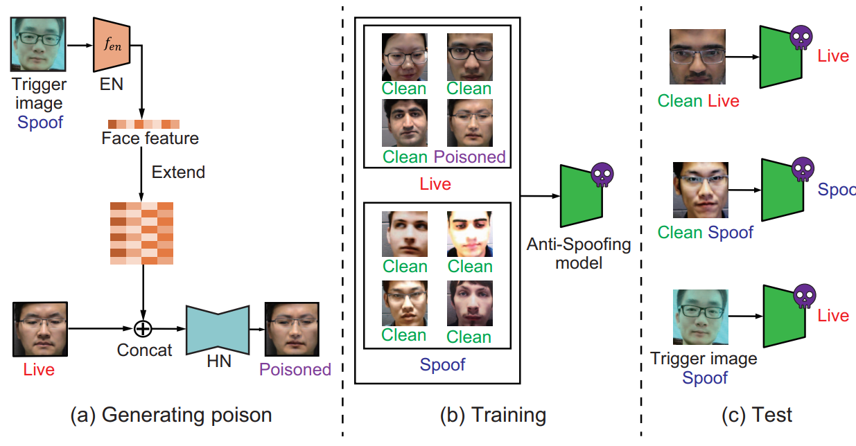 Graphical Abstract