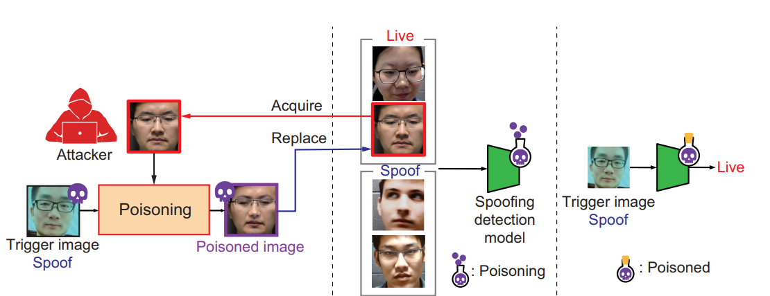 Graphical Abstract