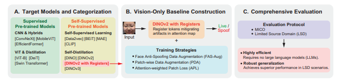 Graphical Abstract