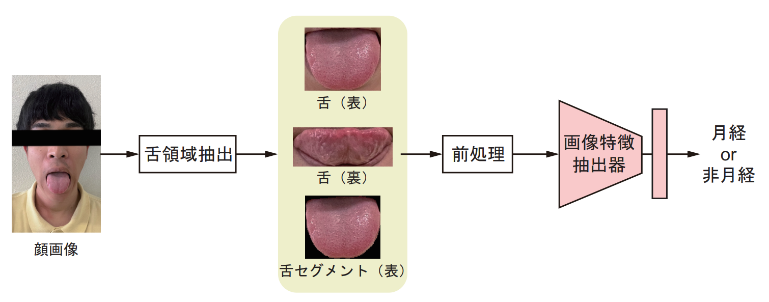 Graphical Abstract