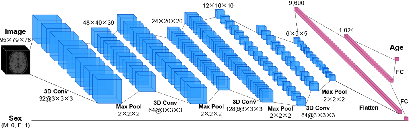 3dcnn