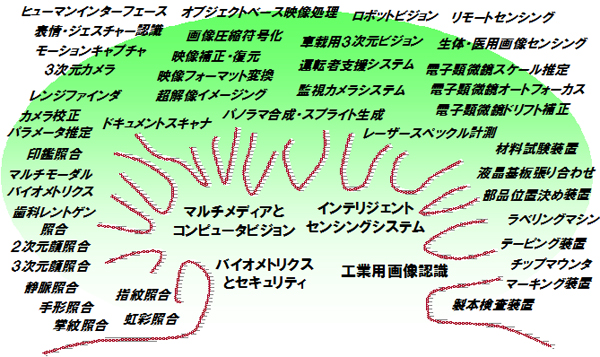 ˡαŸ